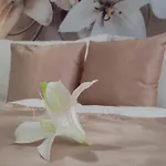 Napsugár Apartamento