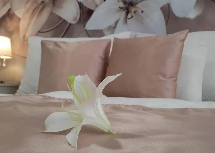 Napsugar Διαμέρισμα